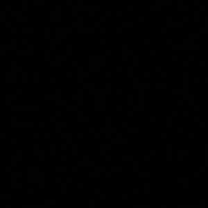 Meet your Posher, Sadie